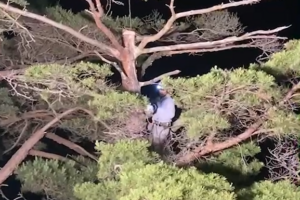 こんなお悩みに対応します