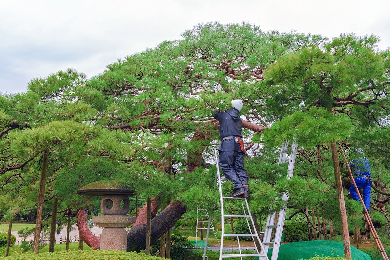 株式会社日賀井造園土木
