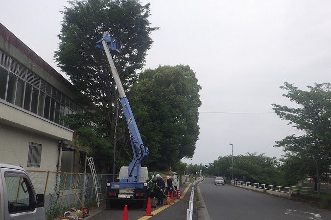 庭木の伐採・大木の伐採・危険木の撤去など安全な伐採作業に対応