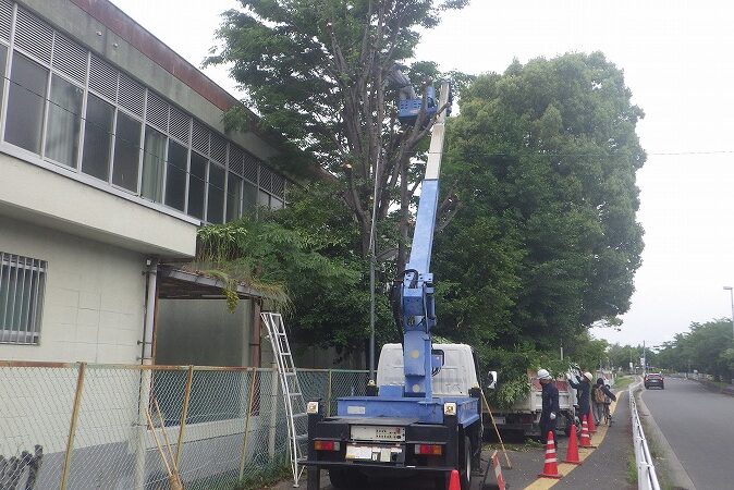 大切な樹木を健康に、住まいを安全に。