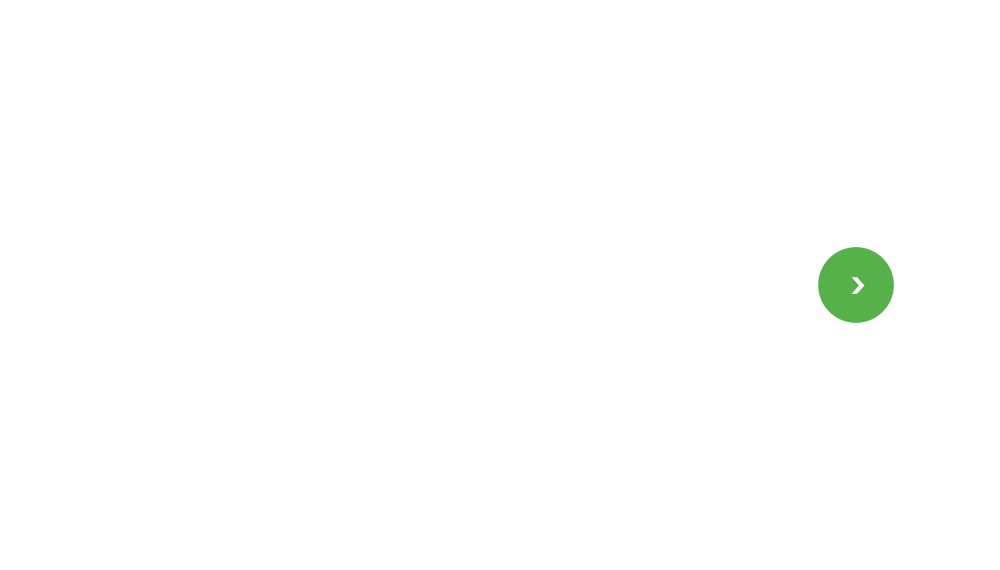 bnrhalf_company_cover