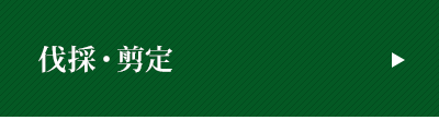 bnrmany02_07